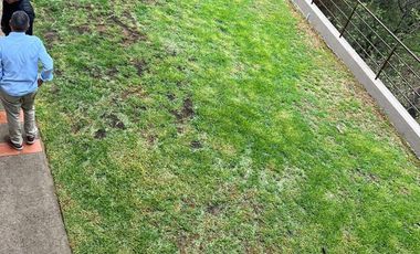 Casa Bosque Real ID: 159597