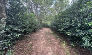 Lote en conjunto cerrado Venecia vía bolombolo suroeste