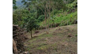 EN VENTA LOTE SANTISIMO VEREDA ROSA BLANCA KM 16