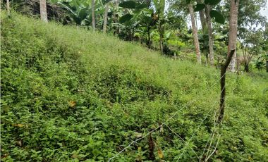 EN VENTA LOTE SANTISIMO VEREDA ROSA BLANCA KM 16