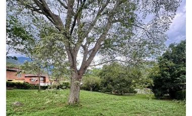 Lote en venta en San Jerónimo