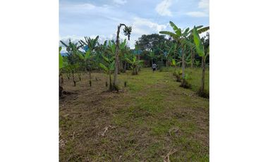 SE VENDE FINCA HOTEL EN QUIMBAYA 3 CUADRAS