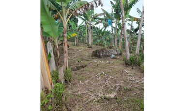SE VENDE FINCA HOTEL EN QUIMBAYA 3 CUADRAS
