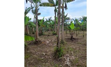 SE VENDE FINCA HOTEL EN QUIMBAYA 3 CUADRAS