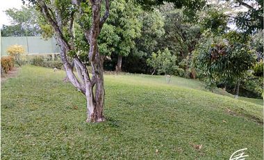 FINCA EN VENTA EN SAN JERONIMO, ANTIOQUIA