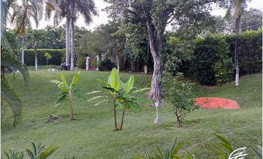 FINCA EN VENTA EN SAN JERONIMO, ANTIOQUIA