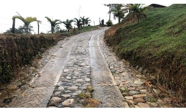 VENTA FINCA VEREDA LA MARQUESA YOLOMBO.