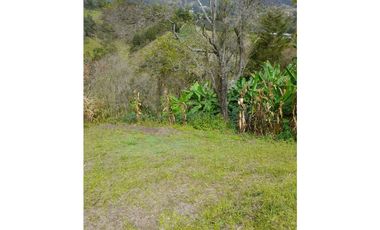 VENTA DE LOTE EN SAN VICENTE DE FERRER VEREDA EL CHAPARRAL 