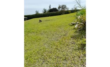 VENTA DE LOTE EN SAN VICENTE DE FERRER VEREDA EL CHAPARRAL 