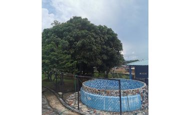 CHEPO / LA HIGUERA / 2396M2 / 4 HAB / BOHIO / BAR / PISCINA / TERRAZA