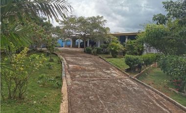 CHEPO / LA HIGUERA / 2396M2 / 4 HAB / BOHIO / BAR / PISCINA / TERRAZA