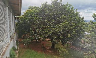 CHEPO / LA HIGUERA / 2396M2 / 4 HAB / BOHIO / BAR / PISCINA / TERRAZA