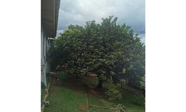 CHEPO / LA HIGUERA / 2396M2 / 4 HAB / BOHIO / BAR / PISCINA / TERRAZA