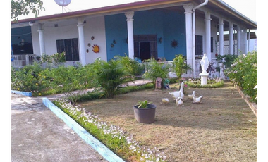 CHEPO / LA HIGUERA / 2396M2 / 4 HAB / BOHIO / BAR / PISCINA / TERRAZA