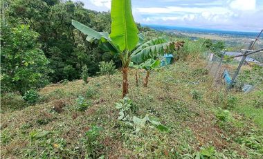 VENDO.LOTE DE 1628mts Jaramillo.Arriba