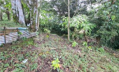 VENDO.LOTE DE 1628mts Jaramillo.Arriba