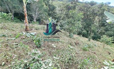 VENDO.LOTE DE 1628mts Jaramillo.Arriba