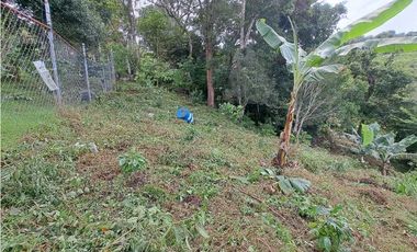 VENDO.LOTE DE 1628mts Jaramillo.Arriba