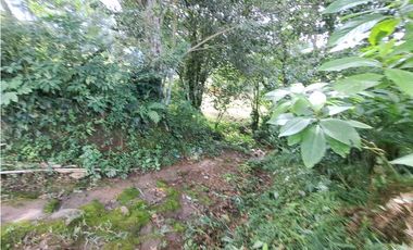 VENDO.LOTE DE 1628mts Jaramillo.Arriba