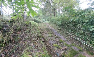 VENDO.LOTE DE 1628mts Jaramillo.Arriba