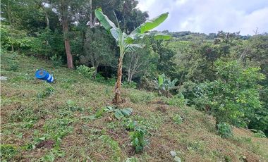 VENDO.LOTE DE 1628mts Jaramillo.Arriba