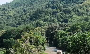 Vendo hermosa Finca a precio de Remate en Puerto Armuelles