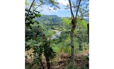 Vendo hermosa Finca a precio de Remate en Puerto Armuelles