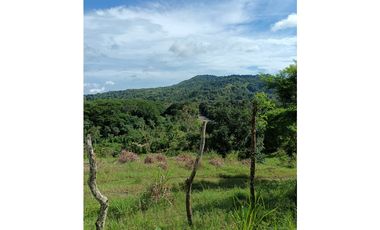 Vendo hermosa Finca a precio de Remate en Puerto Armuelles