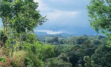 Vendo hermosa Finca a precio de Remate en Puerto Armuelles