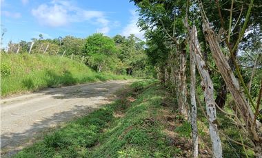 Vendo hermosa Finca a precio de Remate en Puerto Armuelles