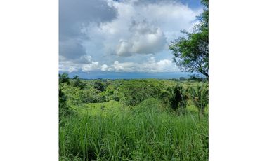 Vendo hermosa Finca a precio de Remate en Puerto Armuelles