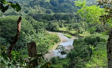 Vendo hermosa Finca a precio de Remate en Puerto Armuelles
