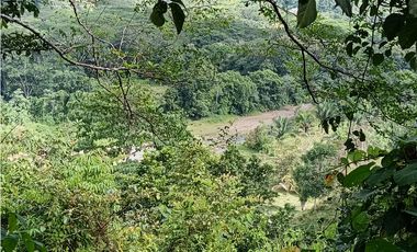 Vendo hermosa Finca a precio de Remate en Puerto Armuelles