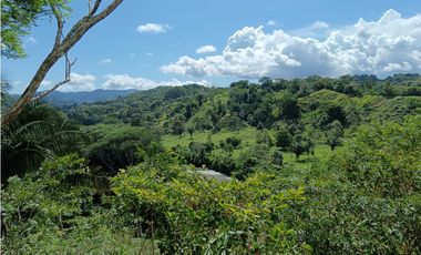 Vendo hermosa Finca a precio de Remate en Puerto Armuelles