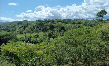 Vendo hermosa Finca a precio de Remate en Puerto Armuelles