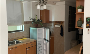 OPORTUNIDAD VENTA APARTAMENTO PH GORGONA OCEAN FRONT  (13)