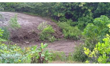 En Venta terreno en el Nance de San Carlos, Panamá Oeste