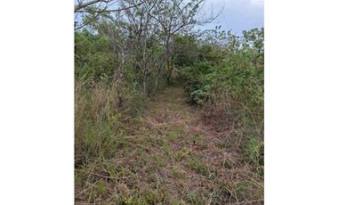 En Venta terreno en el Nance de San Carlos, Panamá Oeste