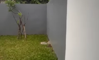 Disewakan Rumah di Cluster Safira Aryana By Rumah Chinida (He)