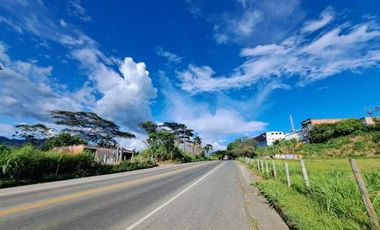 Lote Venta Belmonte Pereira