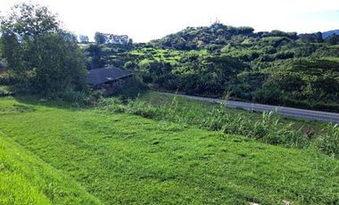 Lote Venta Belmonte Pereira