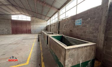 Complejo Industrial en Alquiler – Parque Industrial Ing. Snopek, Palpalá