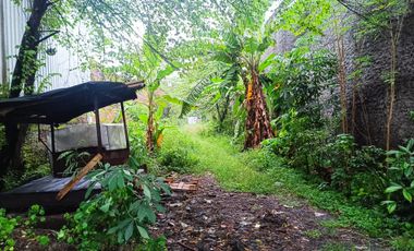 Tanah disewakan di Jl Pelangi Kadilangu Baki Solo Baru