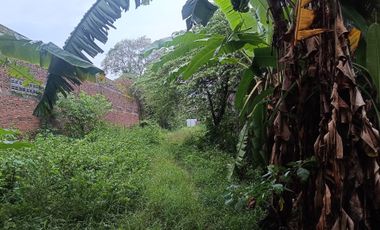 Tanah disewakan di Jl Pelangi Kadilangu Baki Solo Baru