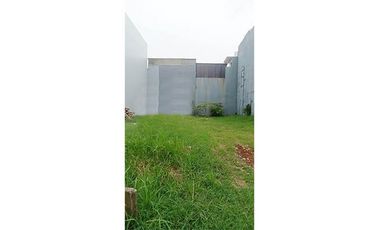 Порнодағы Тиффани Тот