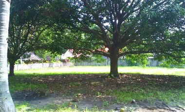 Prime Corner Lot in Gated Apo Vista Beach Park for Sale in Zamboanguita