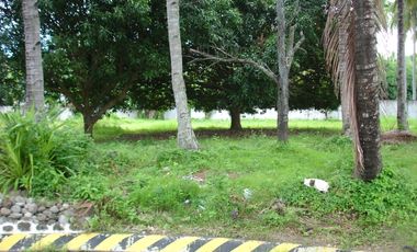 Prime Corner Lot in Gated Apo Vista Beach Park for Sale in Zamboanguita