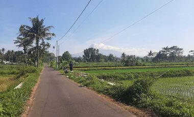 DISEWA LAHAN BERUPA KOLAM/SAWAH Ngemplak Sleman Yogyakarta