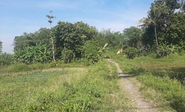 DISEWA LAHAN BERUPA KOLAM/SAWAH Ngemplak Sleman Yogyakarta