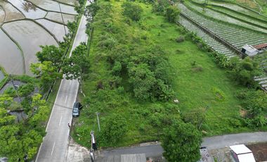 Mungkid Indah-Tanah Kavling Murah Siap Bangun Dekat Candi Borobudur